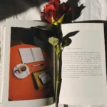 Beautiful Love Poems Inspire Your Heart and Soul